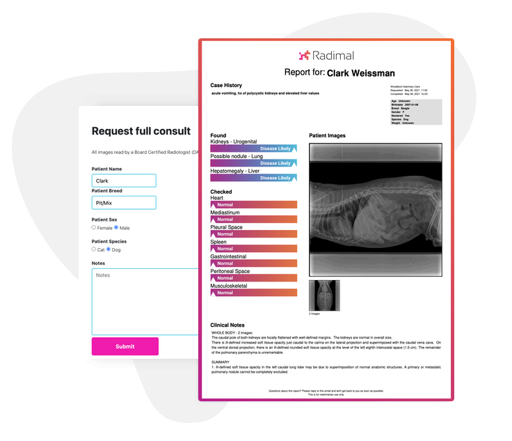 Radimal radiology report