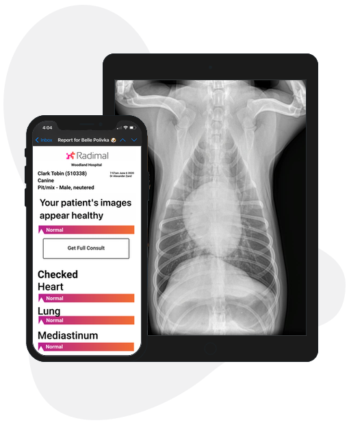 App preview on a phone and tablet